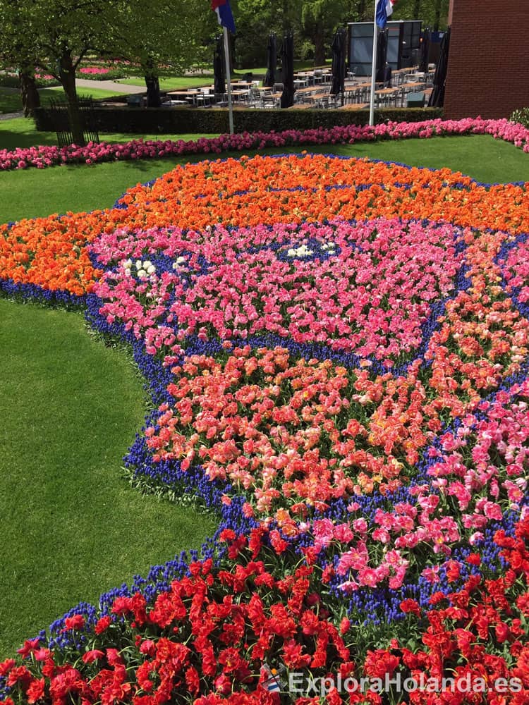 Keukenhof - Van Gogh tulipanes - Holanda - Países Bajos