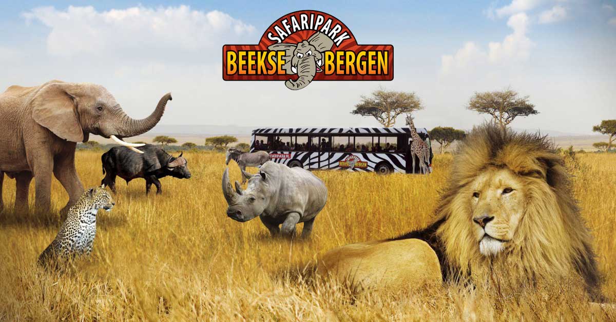 Safari Beekse Bergen Holanda - Países Bajos