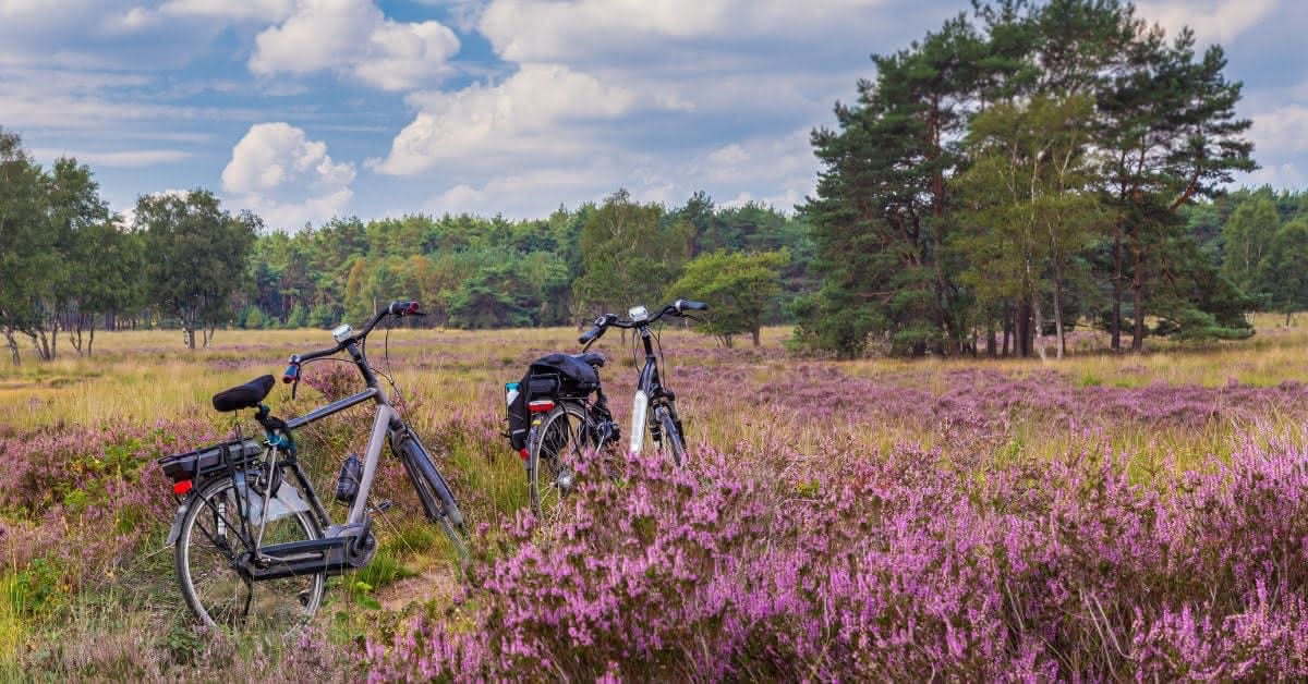 parque-nacional-hoge-veluwe-2