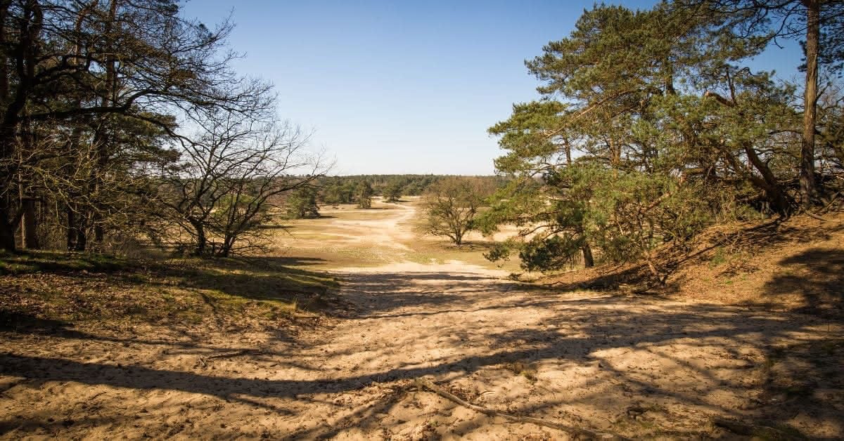 parque-nacional-hoge-veluwe-3